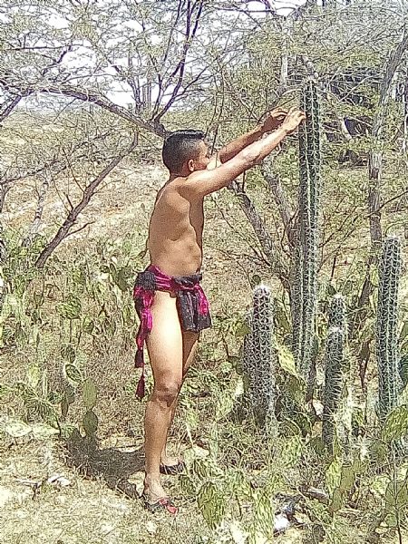 William mauricio - ID: 164807